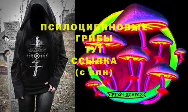 твердый Алексин