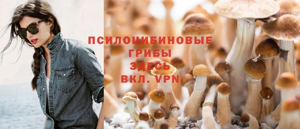 твердый Алексин