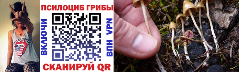 Галлюциногенные грибы мицелий  Кирс 